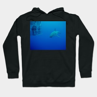 Caged Divers Watch a Great White Shark in Mexico Hoodie